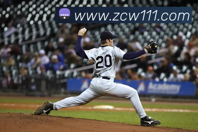 App Interface Preview